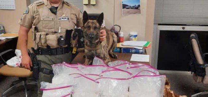 K9 Deputy Tex Finds 20 Pounds of Drugs During Traffic Stop