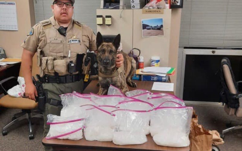 K9 Deputy Tex Finds 20 Pounds of Drugs During Traffic Stop