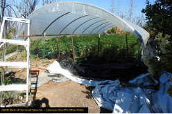 Calaveras County Marijuana Enforcement serves four warrants, arrests two