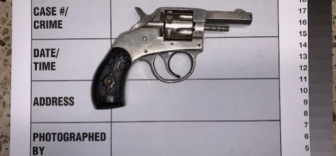 Convicted felon allegedly caught with unregistered firearm during enforcement stop