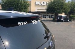 Cosmo Byrd robs Kohl’s and is quickly caught