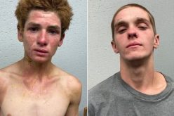 Two men arrested in homicide during attempted vehicle theft