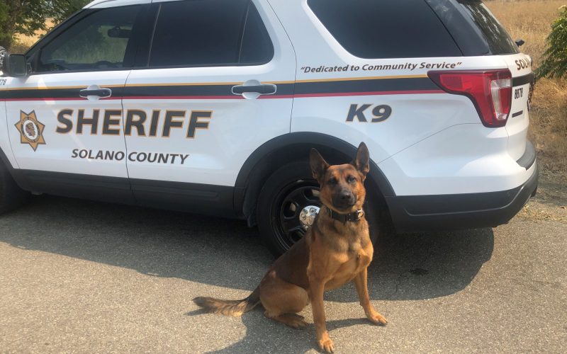 Deputies: “Ghost” AR-15 found during K-9 search of vehicle