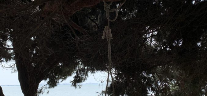 Man Faces Terrorism Charge for Hanging a Noose at Berkeley Marina