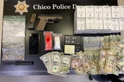 Chico PD: Brothers arrested after family fight on North Cedar Street