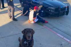 K9 Oakley at it again – two gang members nabbed