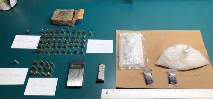 Probation compliance check reveals ammo and meth