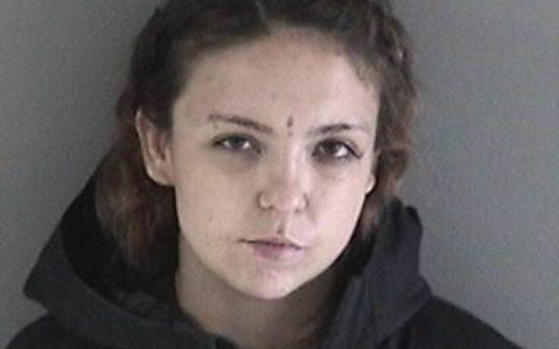 Woman Arrested for Car Theft Faces Charges for Attempted Murder