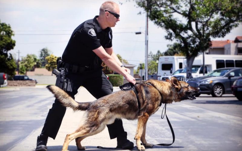 Ax-Wielding Schizophrenic Man Arrested for Robbery and Assault With a Deadly Weapon on a Police Officer