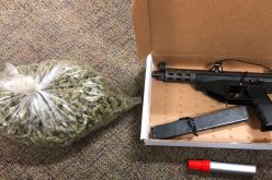 Vehicle check yields marijuana and stolen gun