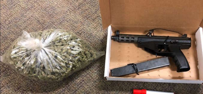 Vehicle check yields marijuana and stolen gun