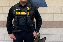 Sheriff’s Office Adds Canine to Patrol Staff