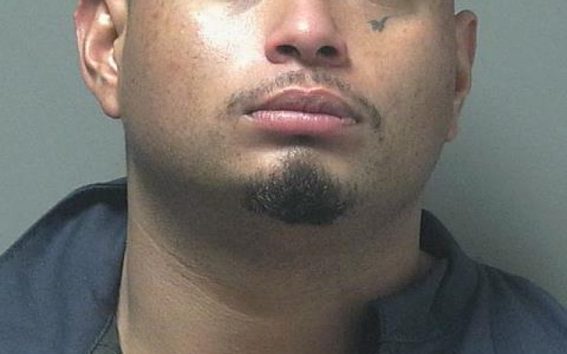 Suspect Fails To Outrun K9 Deputy To Avoid Arrest