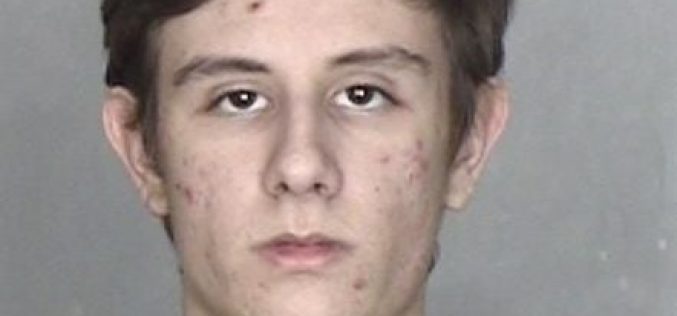 18-year-old arrested with 600+ images of child pornography