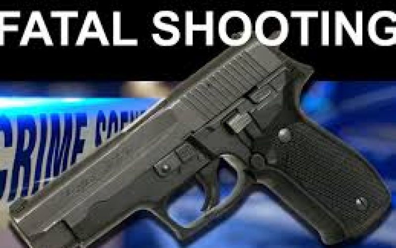 Loud gunshot turns out to be suicide