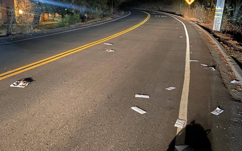 Mailbox thief throws mail out of his van