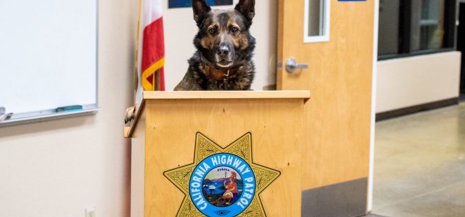 Merced CHP: K-9 Officer Beny uncovers suspiciously large amount of cash during traffic stop