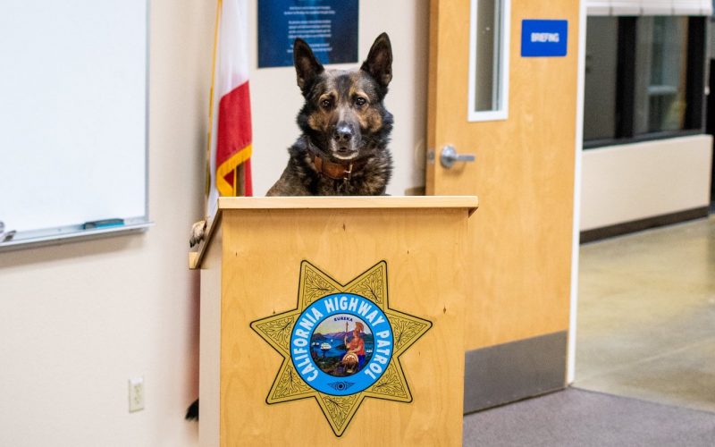 Merced CHP: K-9 Officer Beny uncovers suspiciously large amount of cash during traffic stop