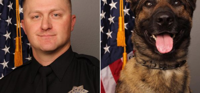 Deputy and K9 shot dead, shooter also killed