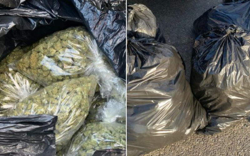 100 pounds of marijuana seized, two arrested