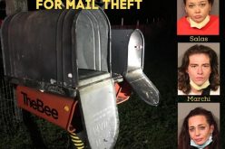 Trio of mail thieves caught and arrested