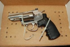 Adult and two juveniles accused of armed robbery with replica gun