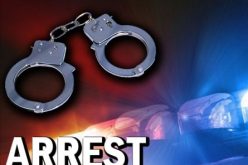 Residential brothel busted on McLellan Drive