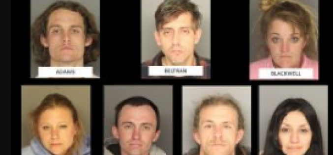 Seven Busted on Multiple Charges Released With No Bail