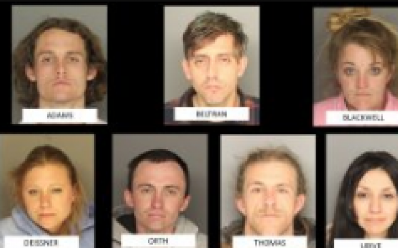 Seven Busted on Multiple Charges Released With No Bail