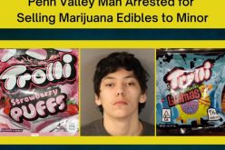 Man sells marijuana gummies to minor