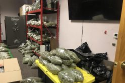 Six-Plus Million-Dollar Search-Warrant Seizure at Illegal Dispensary Reveals Massive Stash