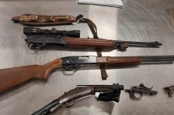 Firearms confiscated during gang enforcement operation