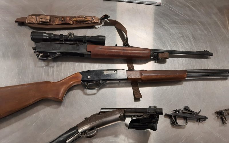 Firearms confiscated during gang enforcement operation