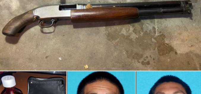 Two parolee brothers arrested with gun and drugs