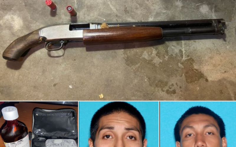 Two parolee brothers arrested with gun and drugs