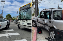 City Bus Stops Car Thief