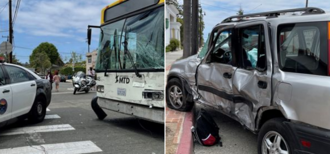 City Bus Stops Car Thief