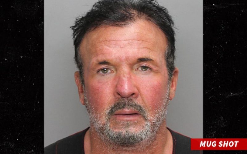 BUFF BAGWELL PRO WRESTLING STAR ARRESTED Accused Of Hit & Run, Lying To Cops