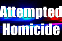 Attempted homicide suspect arrested