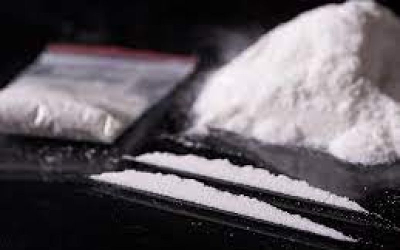 1.5 pounds of cocaine seized in search warrant