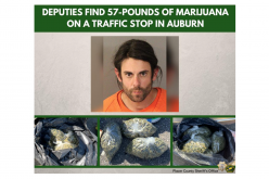 Deputies reportedly find bags of weed, cash, pill bottle during suspected-DUI traffic stop