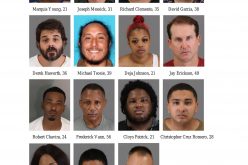 13 arrested in sex trafficking operation