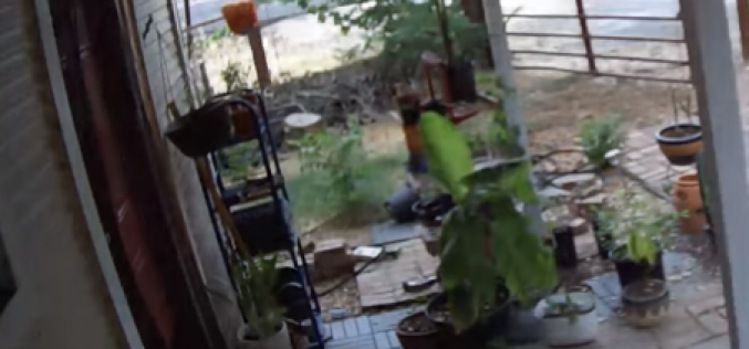 Thief caught on camera taking bike off of porch