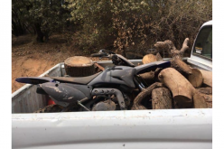 Tuolumne man arrested in connection to string of recent property thefts