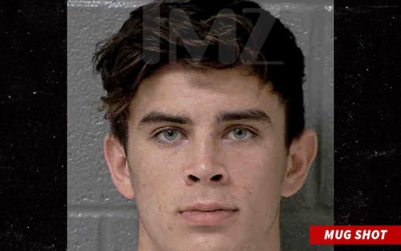 EX-VINE STAR HAYES GRIER ARRESTED Cops in N.C. Claim … ROBBERY VICTIM LEFT W/ BRAIN DAMAGE