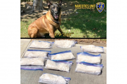 Riverside PD: K-9 Officer Link uncovers ten pounds of meth worth nearly $100K