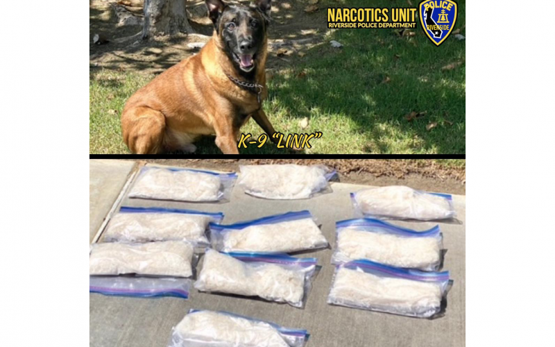 Riverside PD: K-9 Officer Link uncovers ten pounds of meth worth nearly $100K