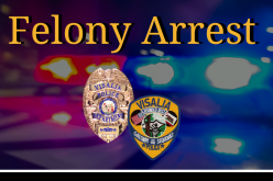 Man arrested for shooting into residence and vehicle