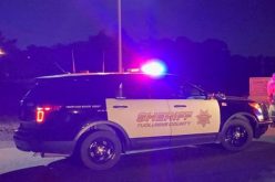 One arrested, one cited in traffic stop