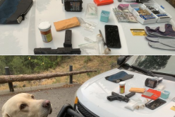 K9-Toby helps stop suspect with gun, rounds, tools and meth